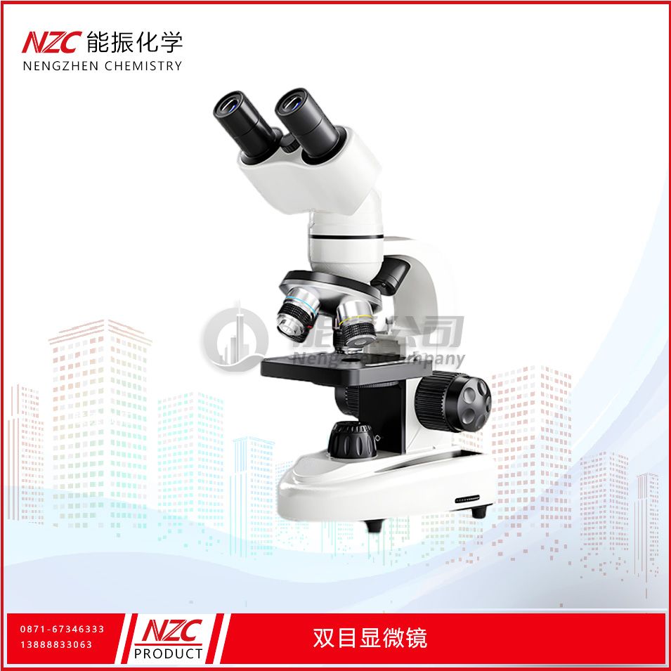 双目显微镜
